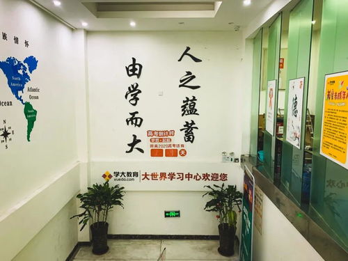 測評 | 藝考結束，文化課培訓機構怎么選？我們去看了這幾家